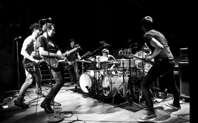 Animalia Lotsatuen Putzua, azken kontzertua