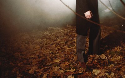 Audience «When I Rule The World»