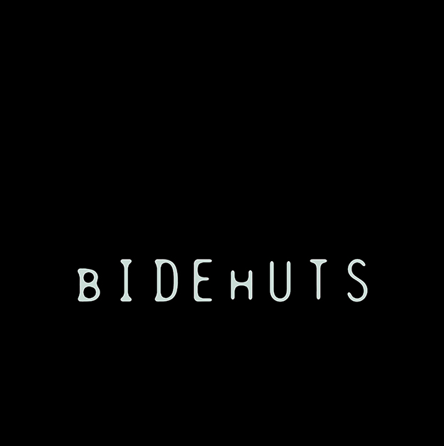 bIDEhUTS